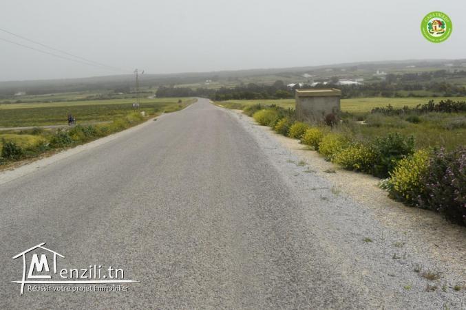 قطعة أرض 9600 م² مسيجة وتبعد 10 دقائق على قليبية