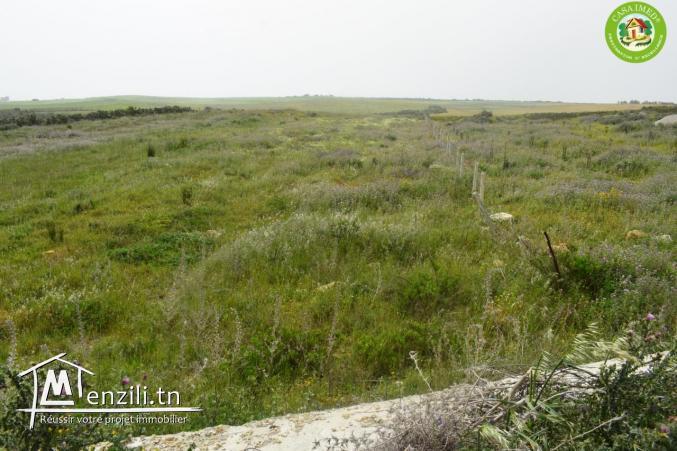 قطعة أرض 9600 م² مسيجة وتبعد 10 دقائق على قليبية