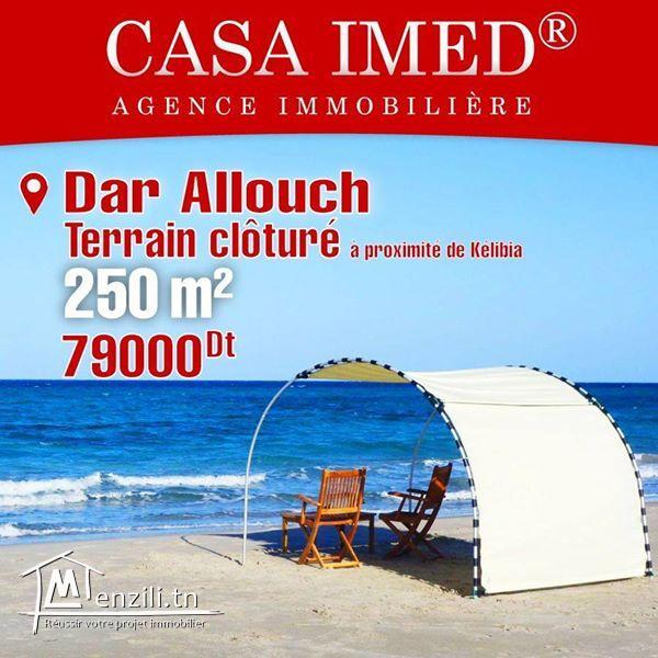 أراضي مسيجة على البحر في دار علوش للبيع