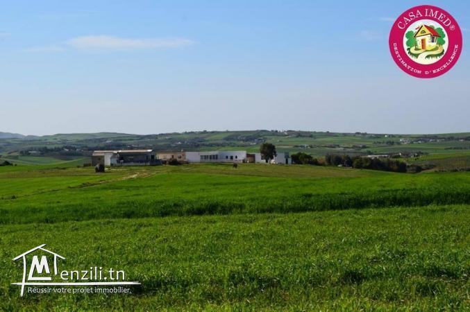 terrain a vendre de 250 m²  a dar allouch