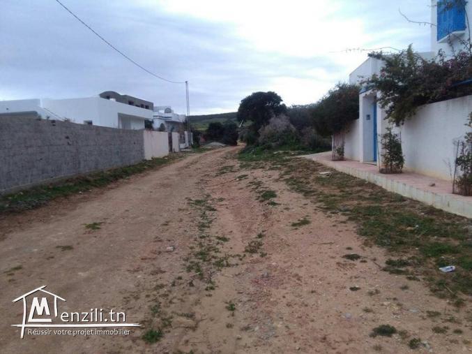 Terrain à ezzahra plage kelibia