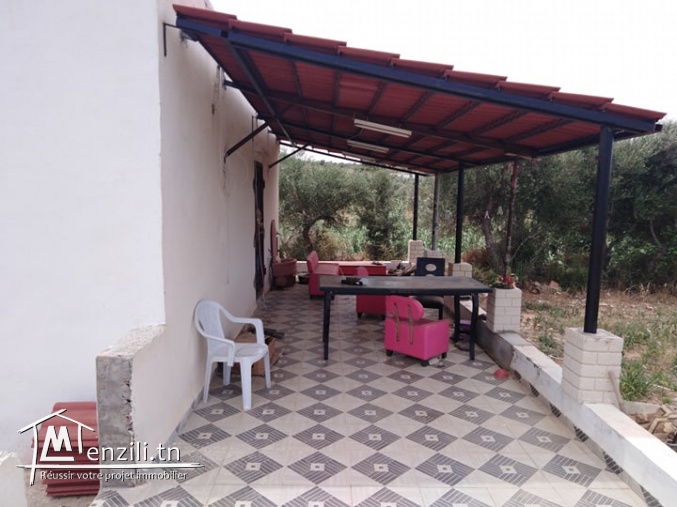 une ferme à Zaghouan bir hlima et maison s+2