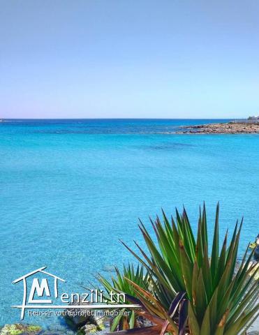 des terrain a vendre kelibia