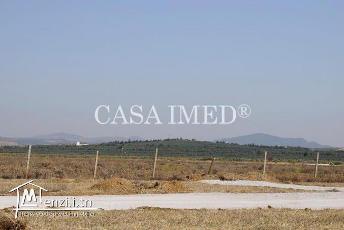 terrain à Hammamet de 250 m2