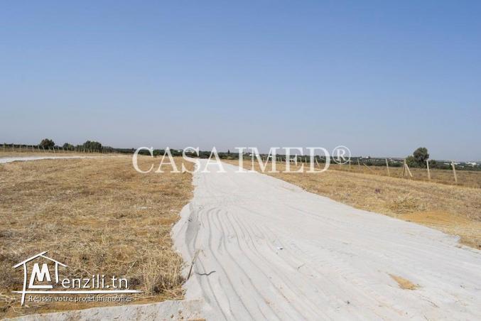 terrain à Hammamet de 250 m2