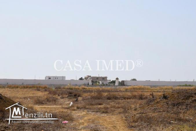 terrain à Hammamet de 250 m2