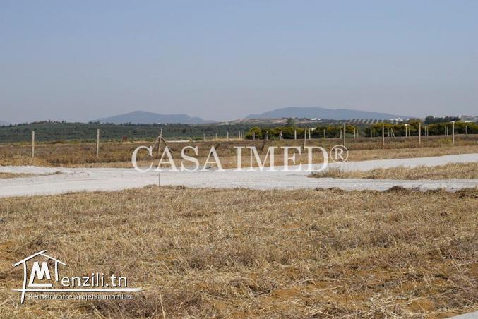 terrain à Hammamet de 250 m2