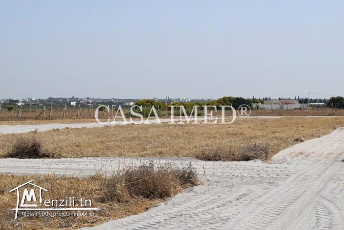 terrain à Hammamet de 250 m2
