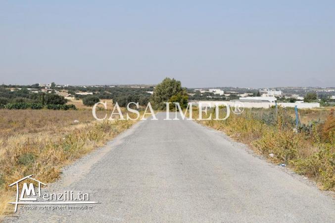terrain à Hammamet de 250 m2