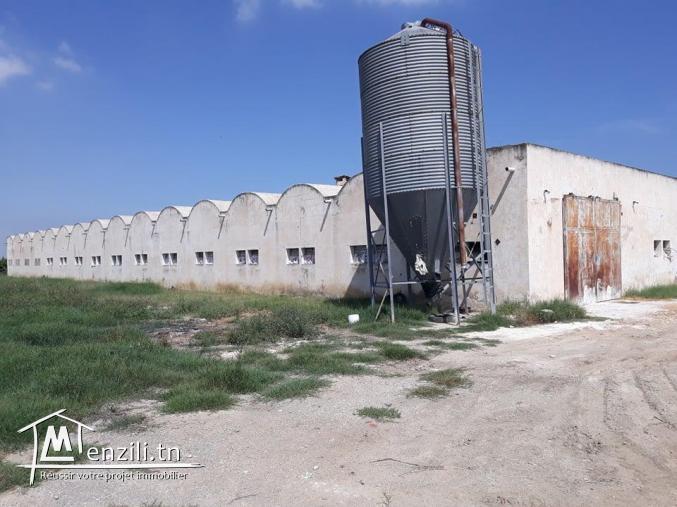 A vendre deux Bâtiment a Mornag