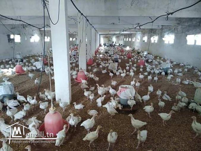 A vendre deux Bâtiment a Mornag