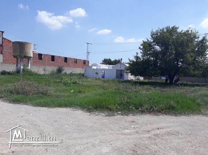 A vendre deux Bâtiment a Mornag