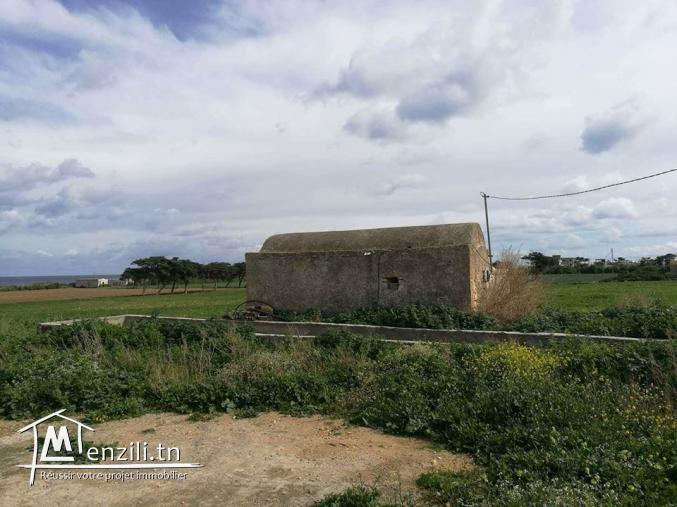 Terrain a vendre a  dar allouche 95829120