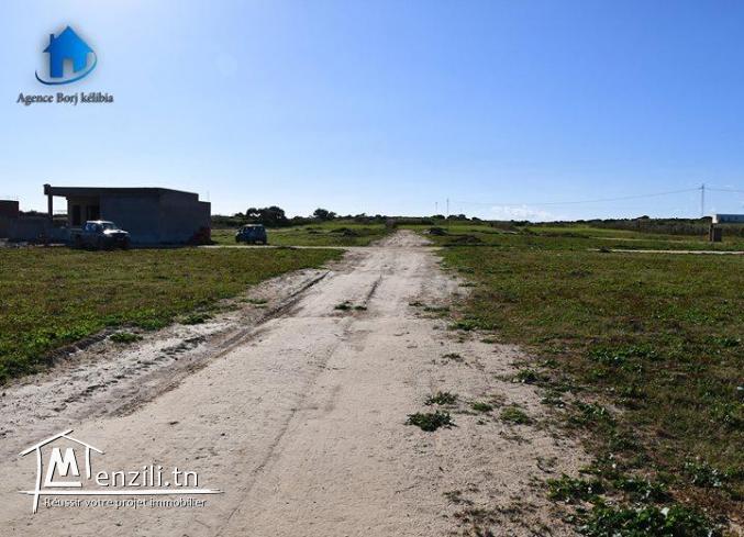 Terrain a vendre a  dar allouche 95829120