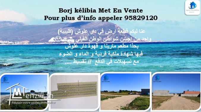 terrain  a dar allouche kelibia 95829120