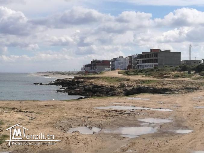 terrain  a dar allouche kelibia 95829120