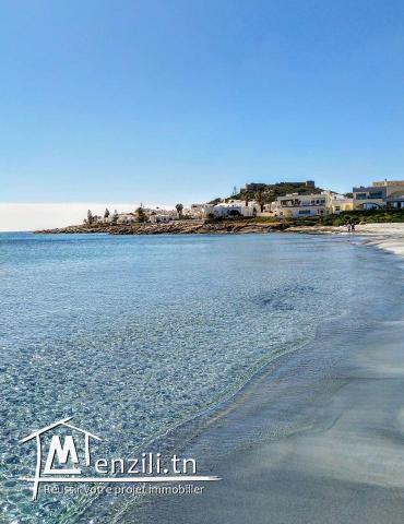 terrain a vendre a kelibia (manzel brahim)