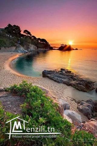 terrain a vendre a kelibia (manzel brahim)