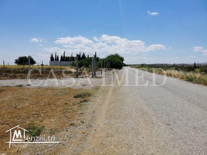 offre spécial :  terrain de 300 m²