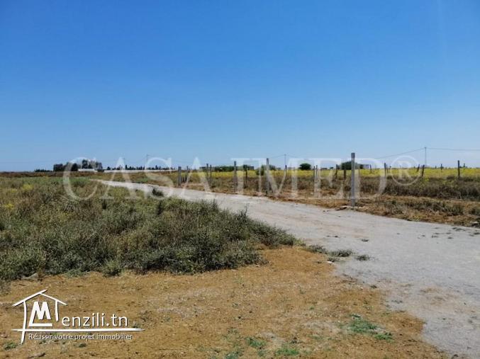 offre spécial :  terrain de 300 m²
