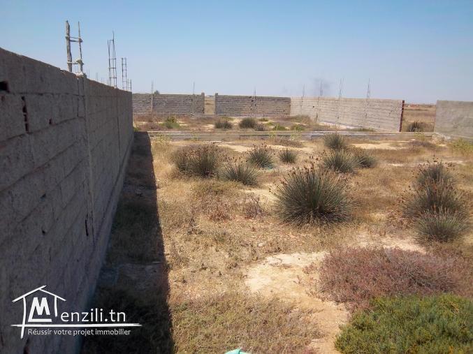 dernière opportunité  350 m² à