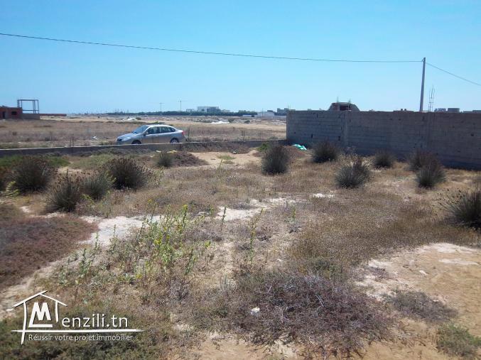 dernière opportunité  350 m² à