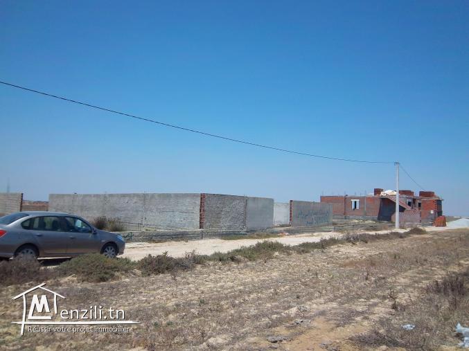 dernière opportunité  350 m² à