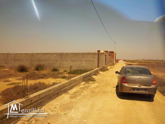 dernière opportunité  350 m² à