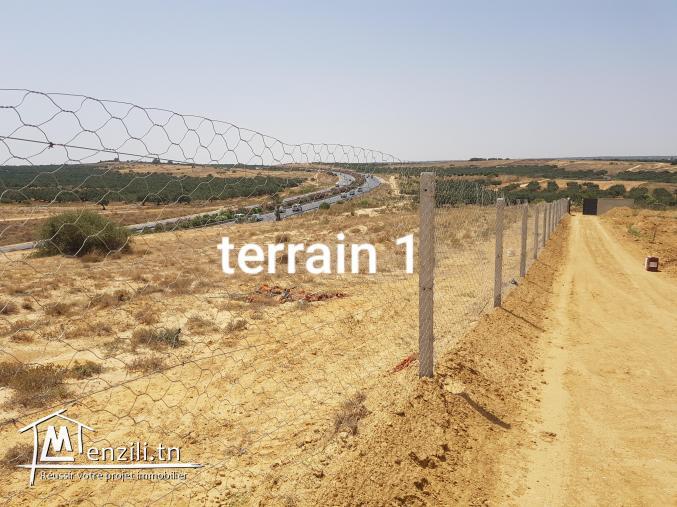2 terrains agricoles