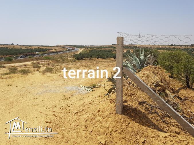 2 terrains agricoles
