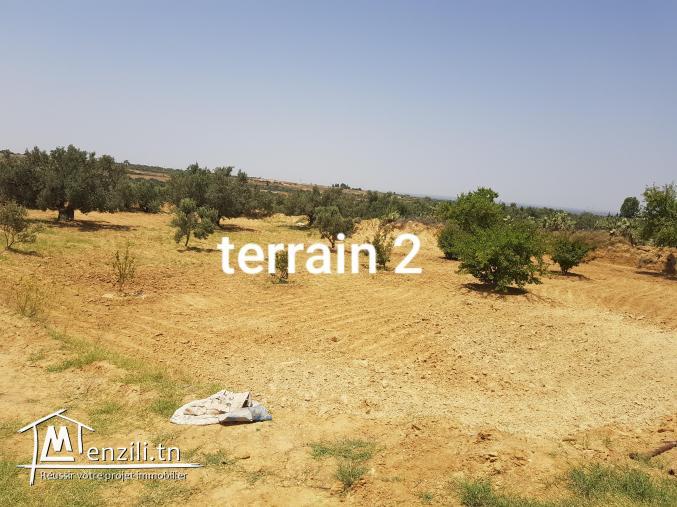 2 terrains agricoles