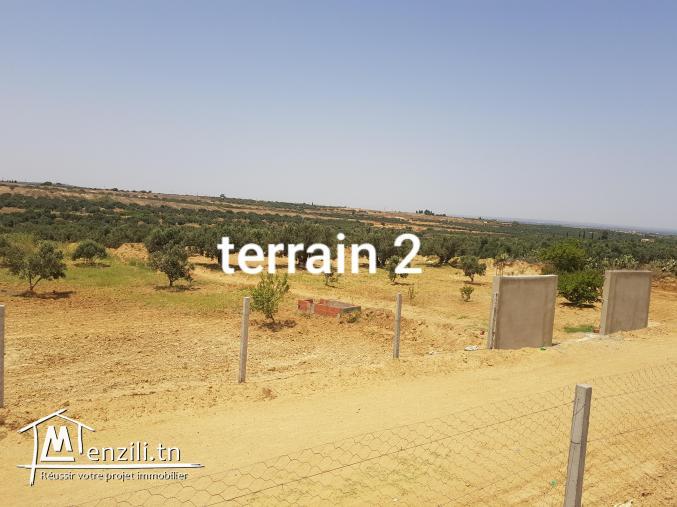 2 terrains agricoles