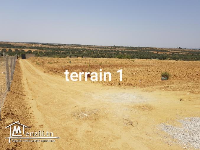 2 terrains agricoles