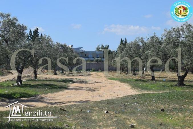 Superbe terrain de  306 m² / 365 m²