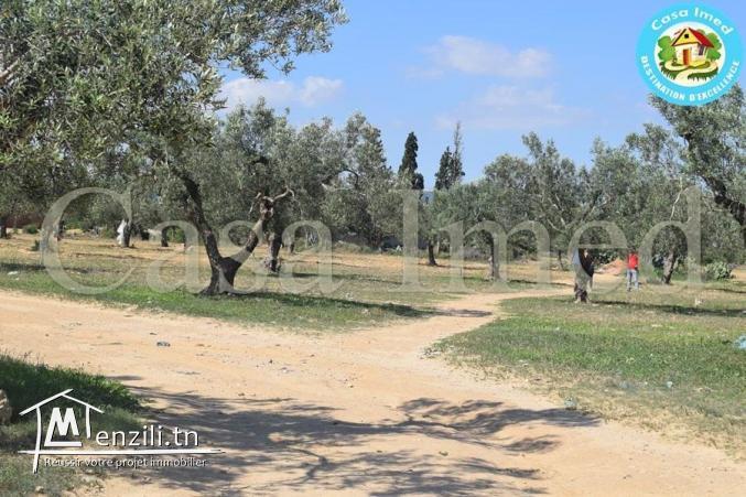 Superbe terrain de  306 m² / 365 m²