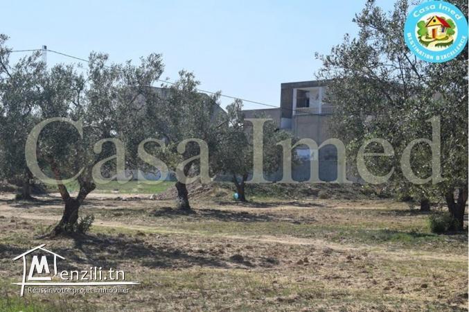 Superbe terrain de  306 m² / 365 m²