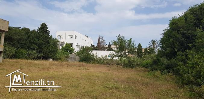 TERRAIN A ROUTE PANORAMIQUE CORNICHE  BIZERTE