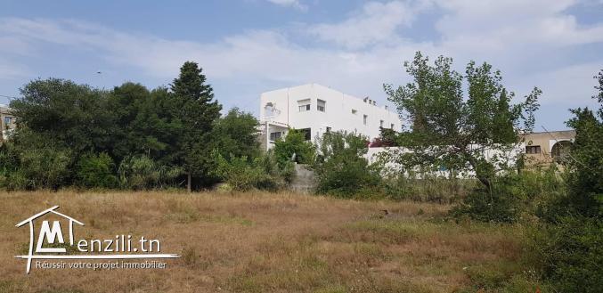 TERRAIN A ROUTE PANORAMIQUE CORNICHE  BIZERTE