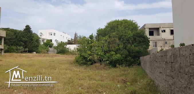TERRAIN A ROUTE PANORAMIQUE CORNICHE  BIZERTE