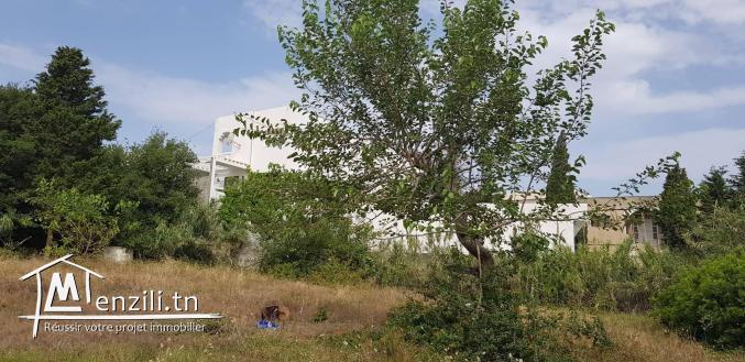 TERRAIN A ROUTE PANORAMIQUE CORNICHE  BIZERTE