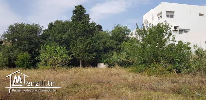 TERRAIN A ROUTE PANORAMIQUE CORNICHE  BIZERTE