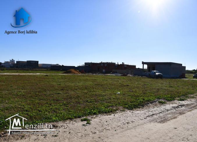 borj kelibia met en vente terrain a dar allouch 95829120