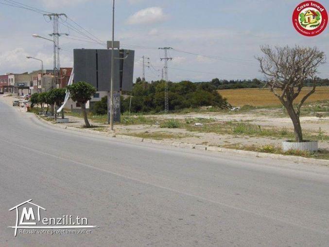 des terrain a vendre kelibia