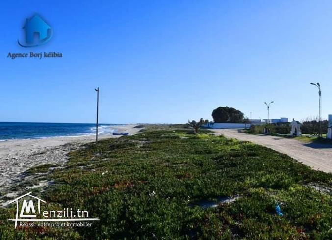 Terrain a vendre a dar allouche 95829120