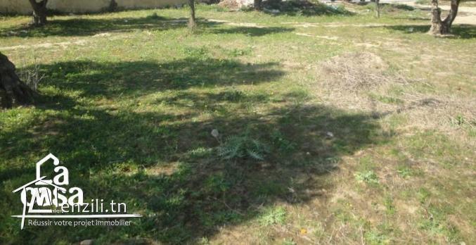 Terrain 284m² à Mrezga