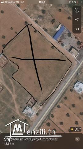 TERRAIN 12436 m Sfax route de saltnia km 8,5.