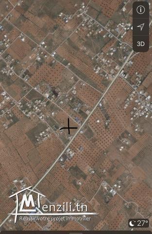 TERRAIN 12436 m Sfax route de saltnia km 8,5.