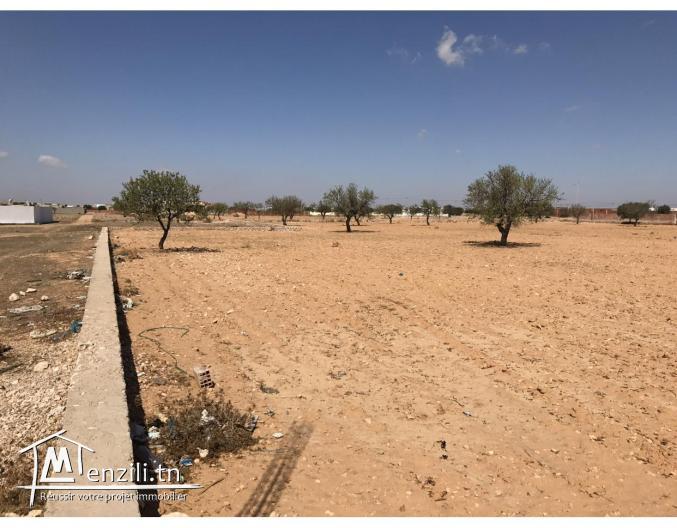 TERRAIN 12436 m Sfax route de saltnia km 8,5.
