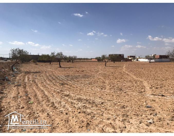 TERRAIN 12436 m Sfax route de saltnia km 8,5.