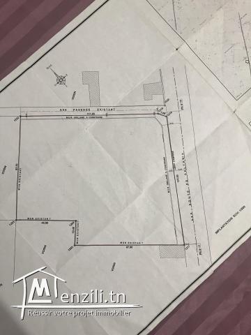 TERRAIN 12436 m Sfax route de saltnia km 8,5.